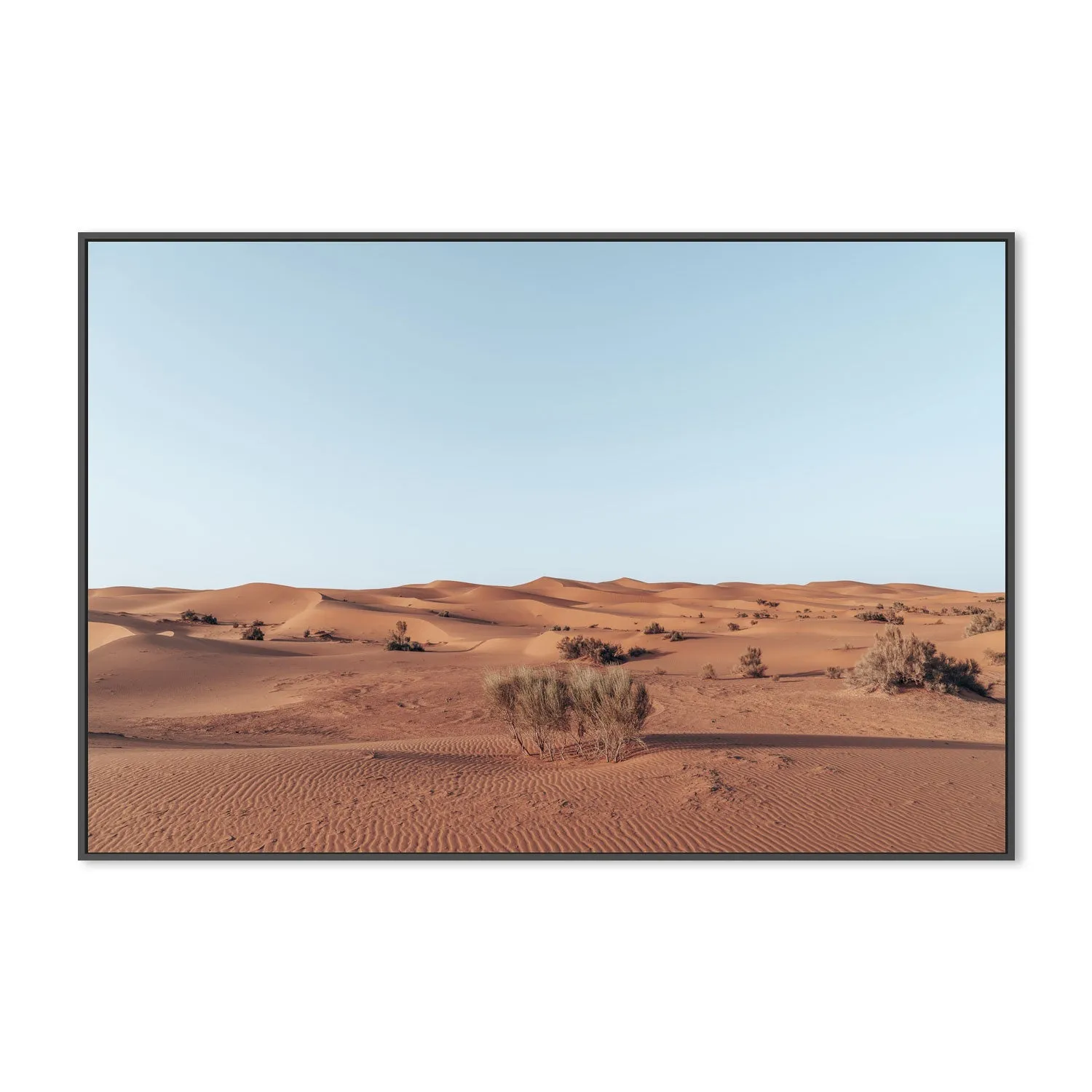 Arid Beauty , By Josh Silver