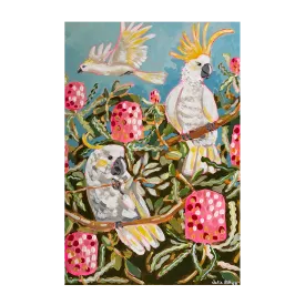 Banksia Birds , By Julia Abbey