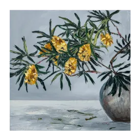 Banksias , By Angela Hawkey