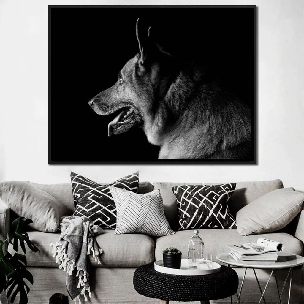 Black and White German Shepherd