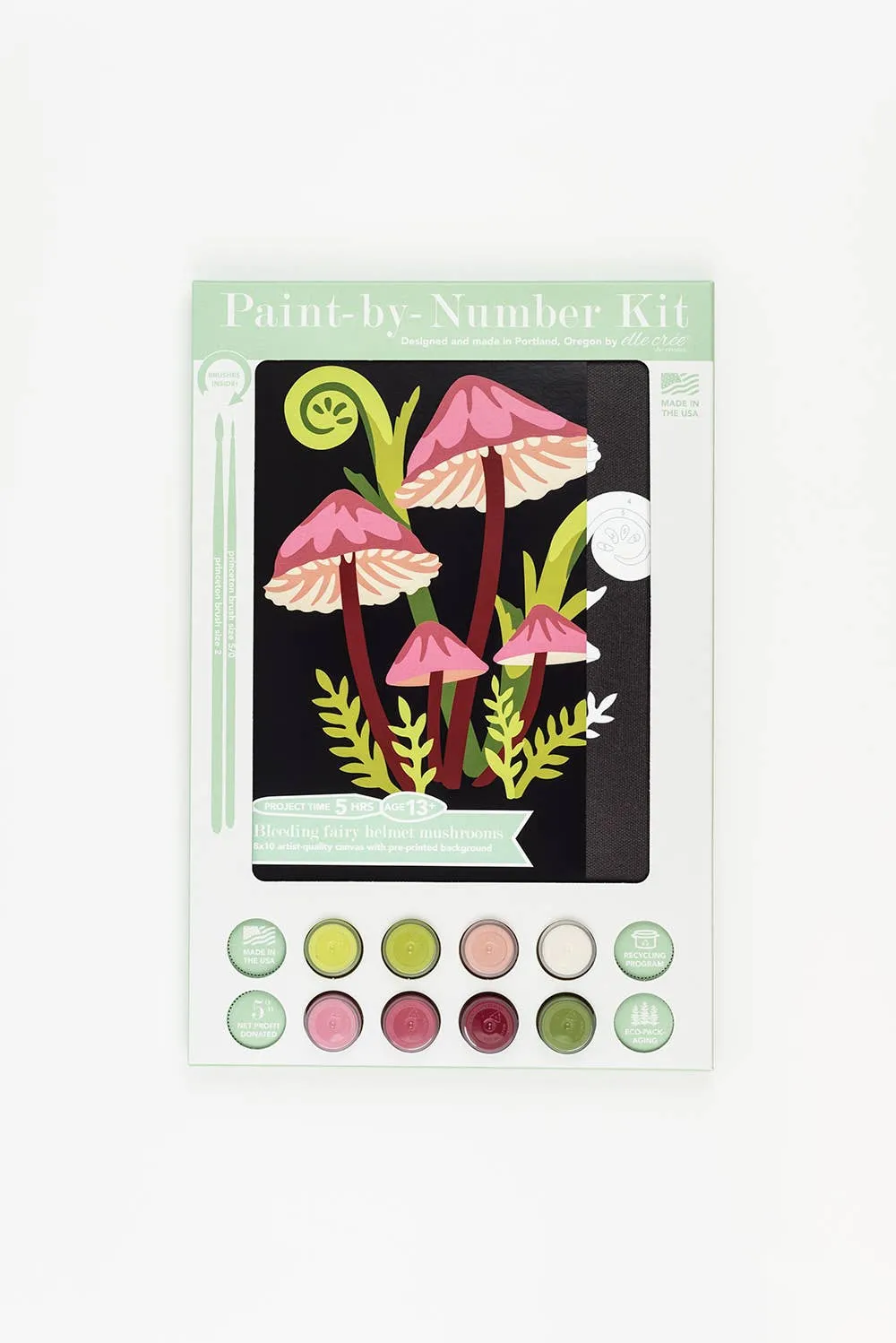 Bleeding Fairy Helmet Mushrooms Paint-by-Number Kit