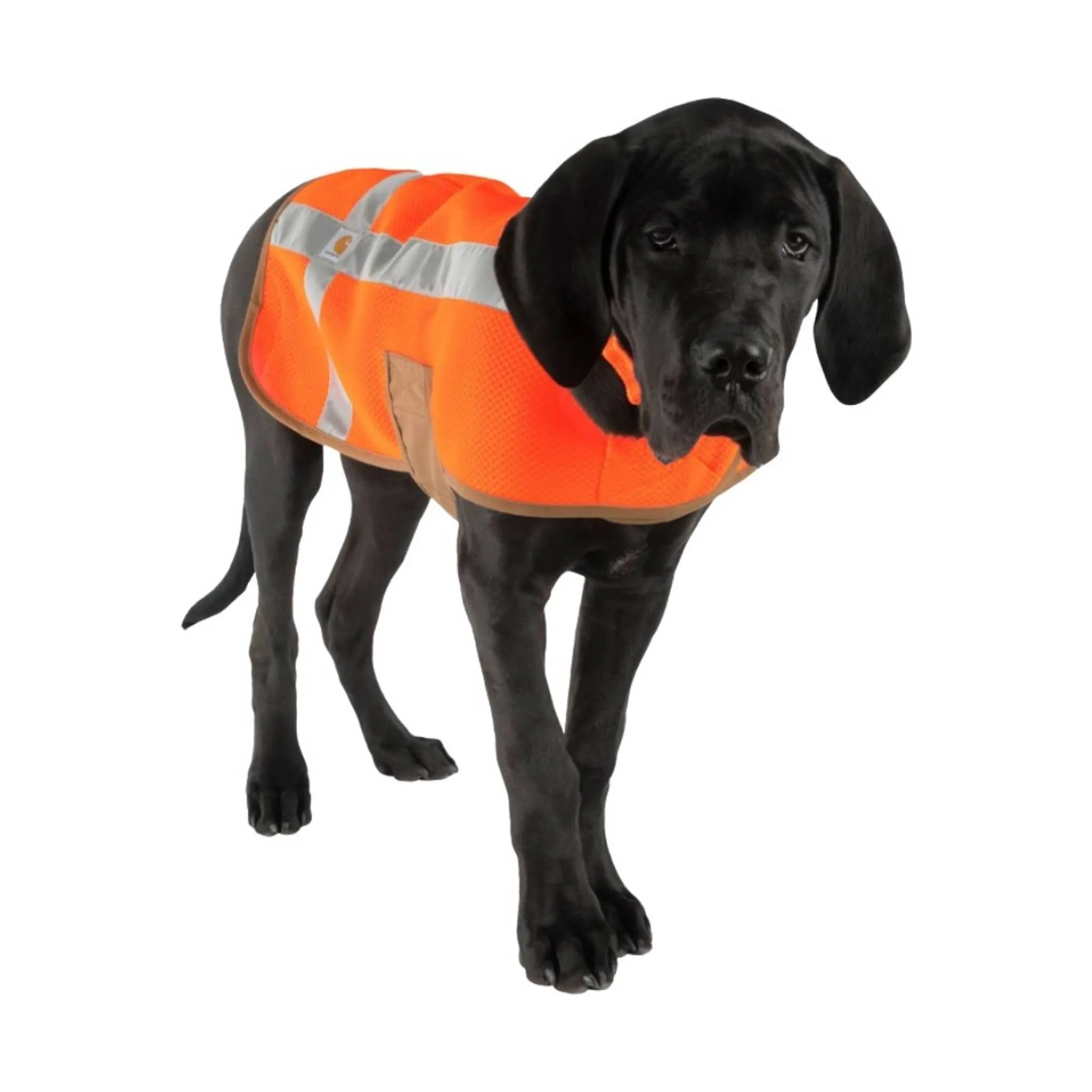 Carhartt Dog Safety Vest - Hunter Orange