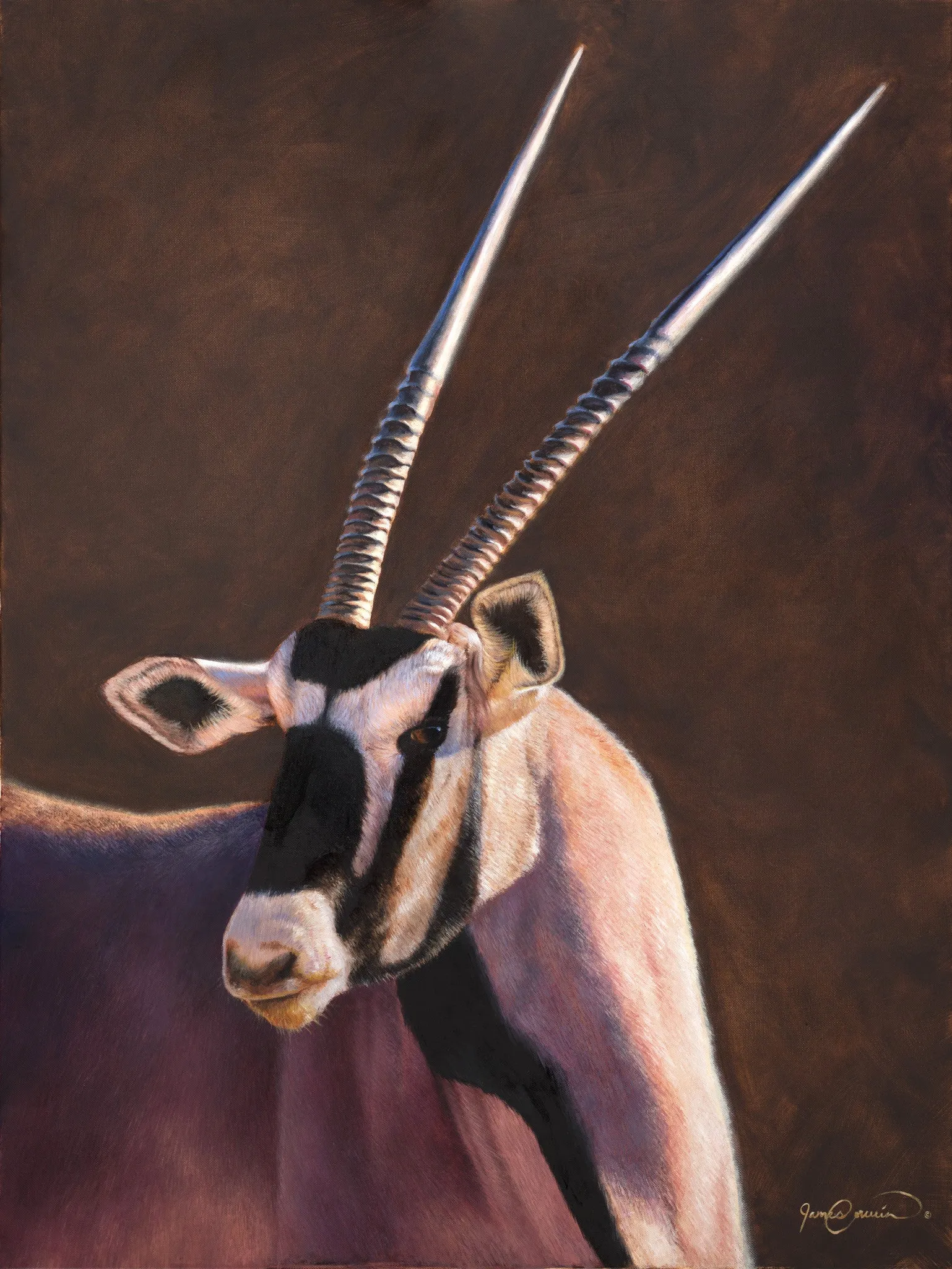 Gemsbok Gem