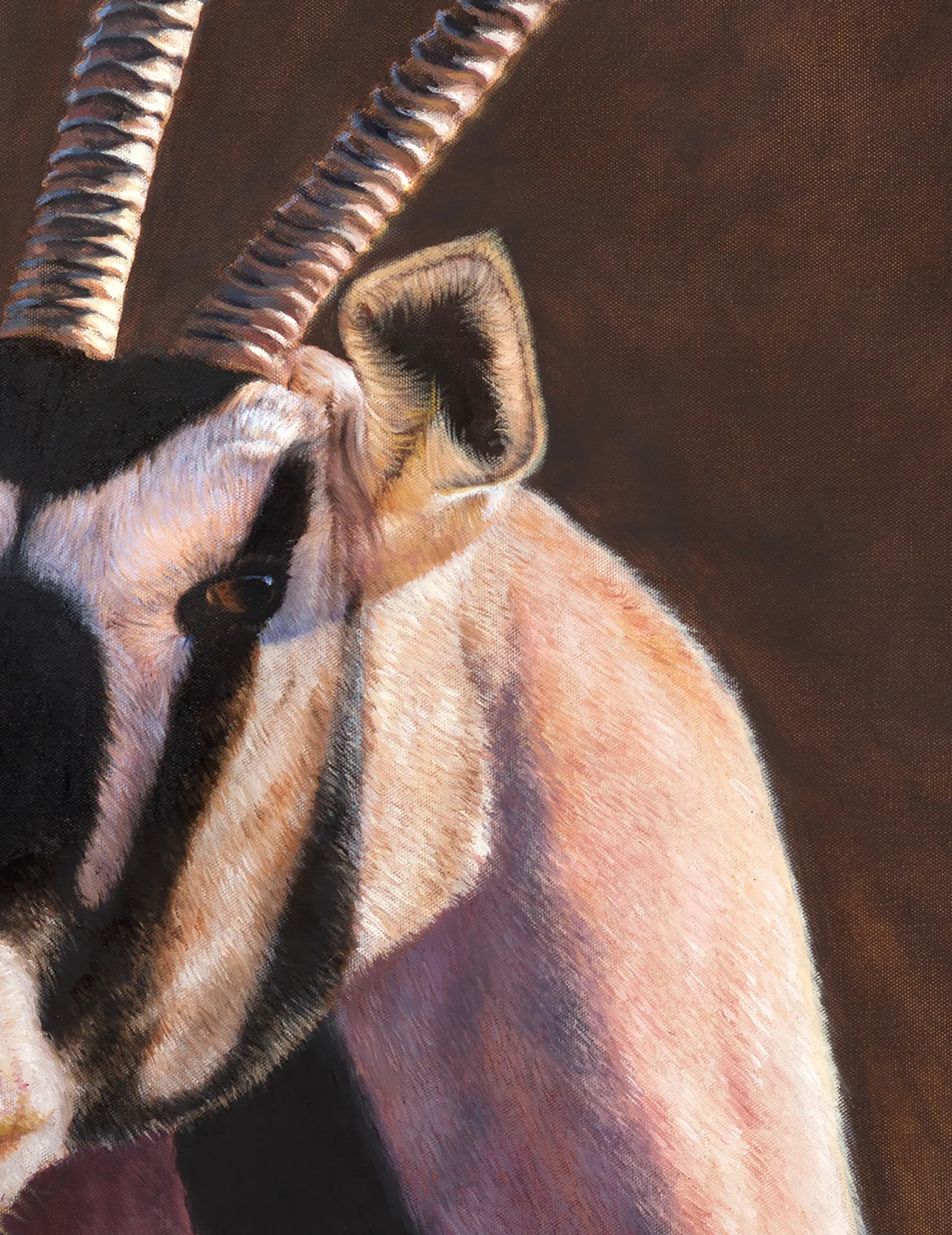 Gemsbok Gem